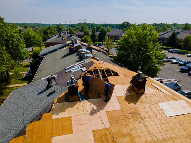 Trusted Roof Replacement service in Wagram, NC - Brentwood Metal Roofing